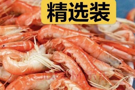 活夹板虾怎样保存