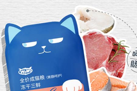 wwo猫粮怎么样
