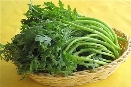 武汉立秋种什么菜