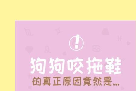 狗咬鞋是什么意思