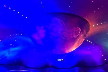 武汉海昌公园夜场与白天的区别
