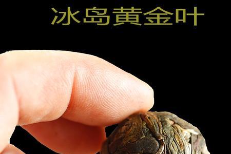 冰岛龙珠鉴别