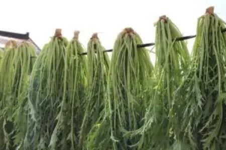 腌制雪里红揉的出水了好吗