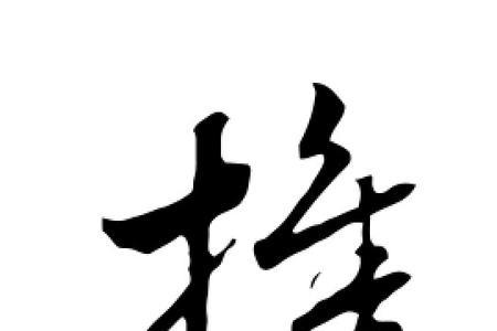 携可以用什么字代替
