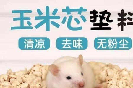 金丝熊多久换一次垫料