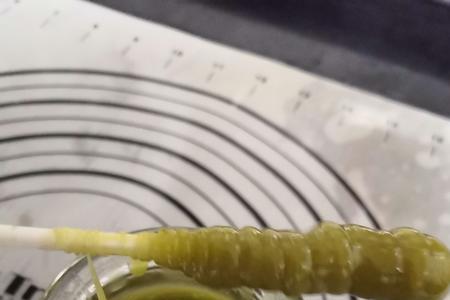 麦芽糖可以用稻谷代替吗