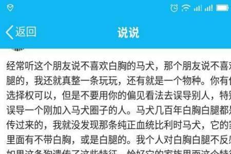 马犬戴白胸好不好