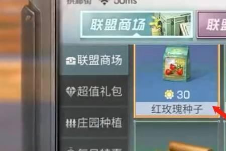 明日之后玫瑰花怎样免费获得
