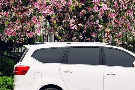 mpv7坐1.6自吸手动挡有那些车型