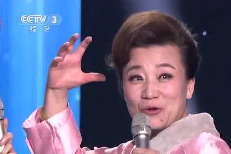 主持人王为念的女搭档是谁