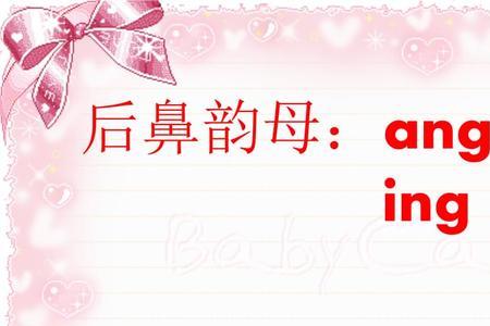 ang是韵母还是整体认读音节