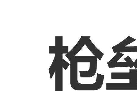 形容枪的霸气词语