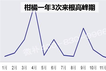 调环酸钙在柑橘的控旺使用浓度