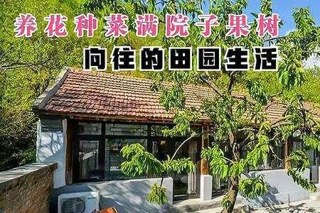 农村小院改造属于三农么