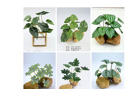 铁血独立营叶小琴怒除孙智平