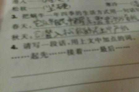 背包这个词可以造什么句