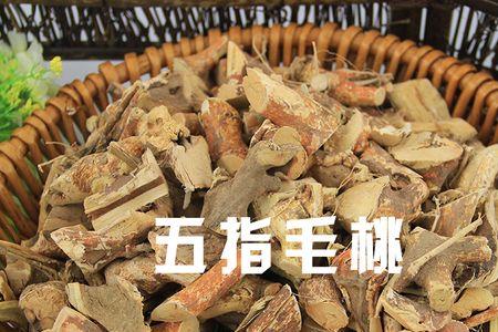 五指毛桃切片好还是整条好