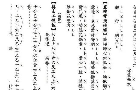 什么乐器用工尺谱