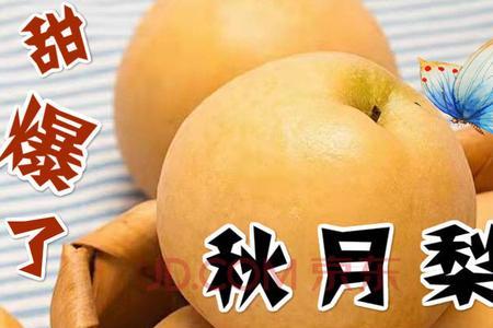 蜜梨和雪梨的区别
