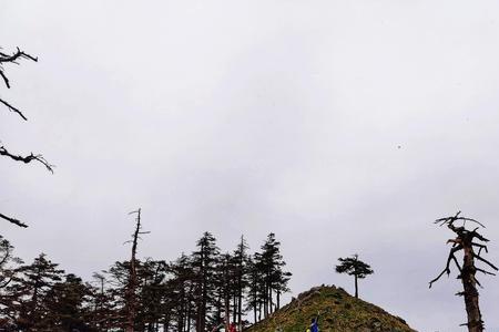 西光头山几月份最漂亮