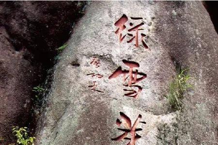 绿雪芽属于哪个国家