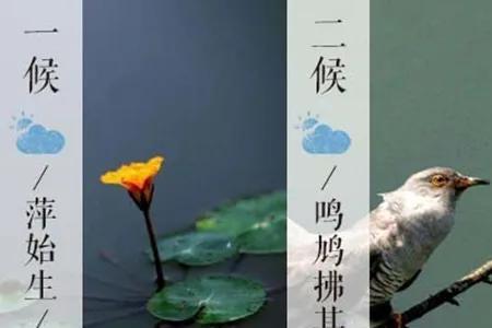 一生长肃谷生风指什么动物