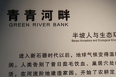黄河流域有多少个仰韶文化遗址