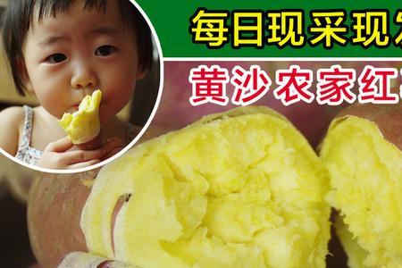 板栗红薯的肉是白的还是黄的