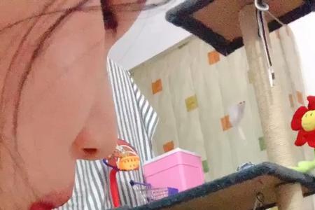 两个月玄凤吃什么