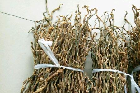 干豆角返潮出毛了怎么办
