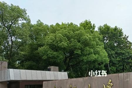 杭州大学与浙江大学的区别