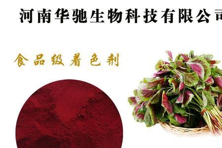 蔊菜为什么是红色的
