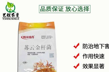 苏云金杆菌杀跳蚤吗