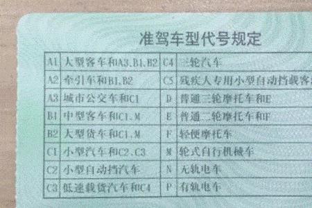 驾驶证档案编号查不到可以用吗