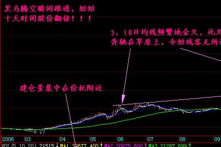 黑马是什么意思