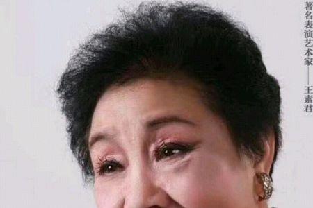豫剧自有那万钧唱词