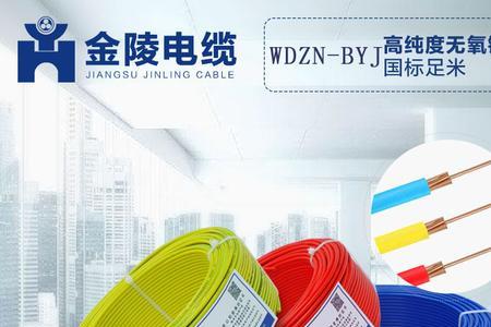 wdzb一byj5*6是什么电线