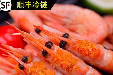 鼓腹巨蝰能生吃吗