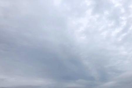高不过仞是什么意思
