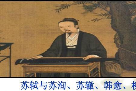 苏洵有妾吗
