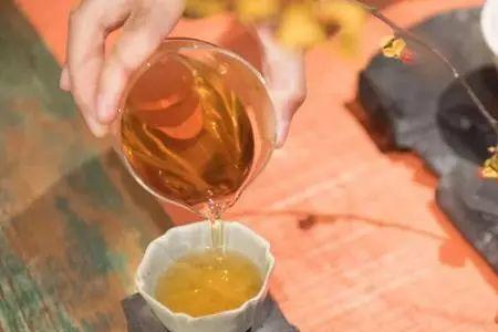 茶者水之神也解读