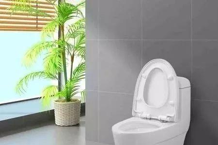 马桶距离挡水线20够装马桶的吗