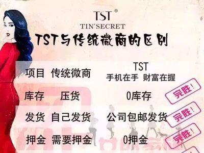 tst家庭秘密是什么