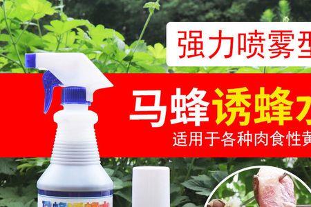 马蜂泡酒多久可以做诱蜂水