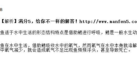 鱼缸浮头总是下沉