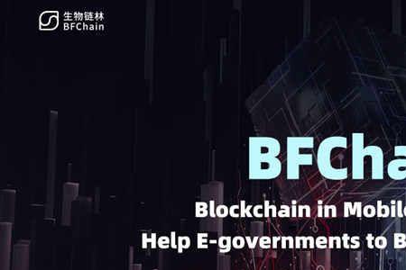 bft网络什么意思