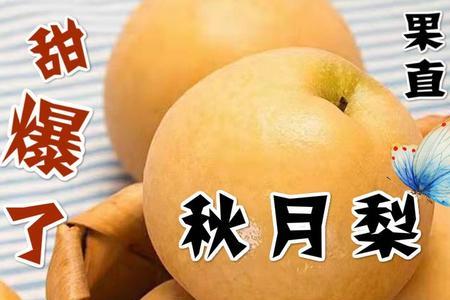 白玉丰蜜梨是不是秋月梨