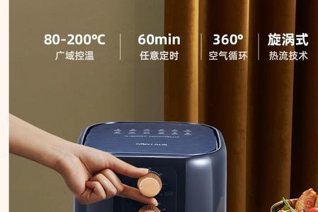 金正空气炸锅是杂牌吗