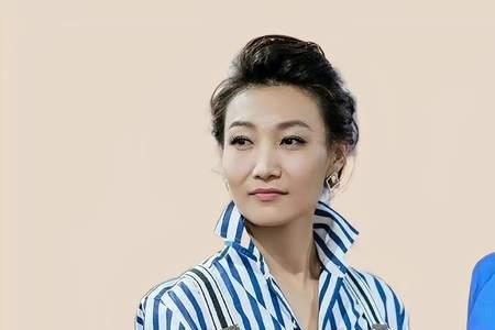 欧阳夏丹和张宏民的电视剧