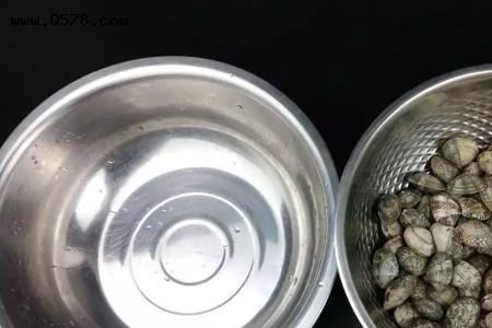 蛤蜊可以浸泡一晚上吗
